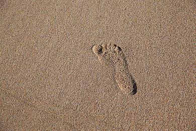 《NBA 2K22》新传闻：上市日期与三大封面球员泄露